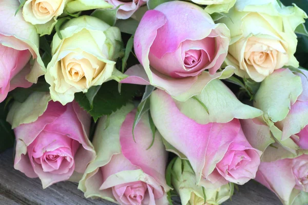 Tarjeta Día Las Madres Con Rosas Rosadas —  Fotos de Stock