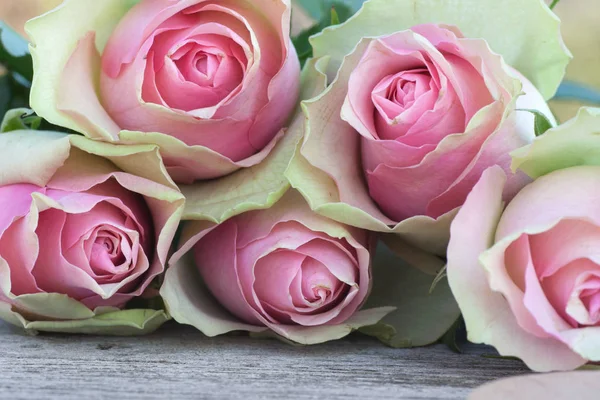 Tarjeta Día Las Madres Con Rosas Rosadas —  Fotos de Stock