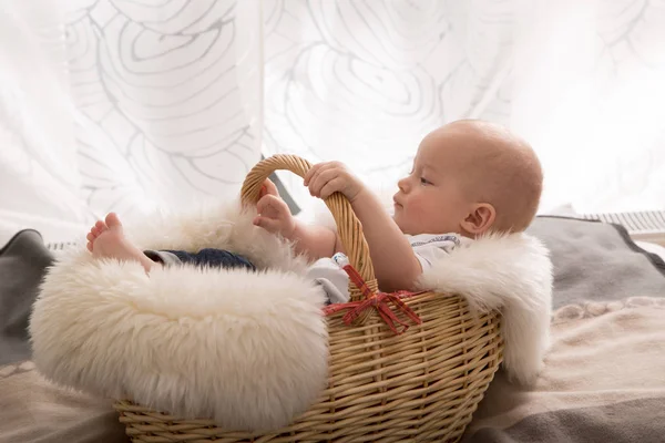 Newborn Baby Basket — Stock Photo, Image