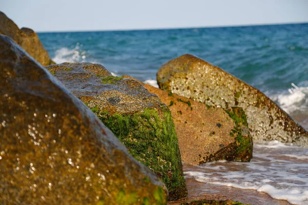 波に苔のある石 — ストック写真