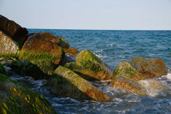 Piedras Con Musgo Surf — Foto de Stock