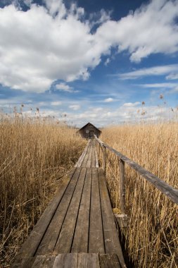 jetty to a boathouse at the spring lake in germany clipart