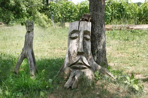 Root Carving Tree Stump Vineyard — Stock Photo, Image