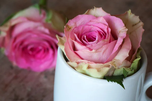 Rosa Rosa Una Pequeña Taza Blanca Para San Valentín Día —  Fotos de Stock