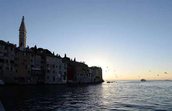 Rovinj Istria Croatia Sea Meditergroundwater Coast Peninsula Evening Evening Evening — 图库照片