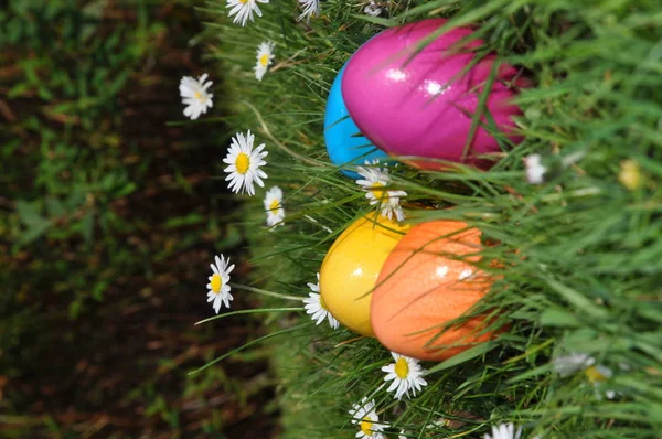 Pisanka Wielkanoc Wielkanoc Wielkanoc Festiwal Tradycja Kolorowy Kolor Kolorowy Tradycyjne — Zdjęcie stockowe