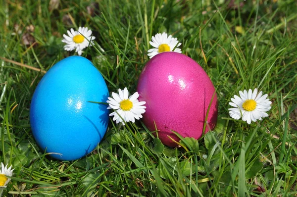 Easter Egg Egg Eggs Eggs Easter Easter Basket Osterfest Tradition —  Fotos de Stock