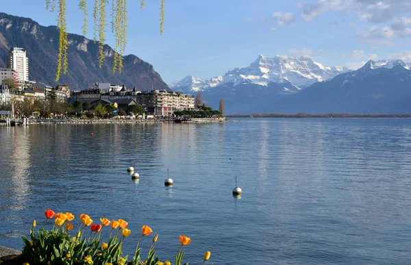 Jarní Den Montreuxu — Stock fotografie