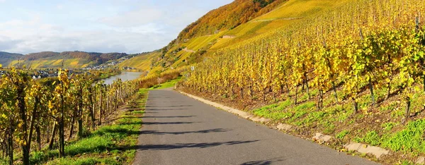 Moselle Est Une Rivière Qui Traverse France Luxembourg Allemagne — Photo