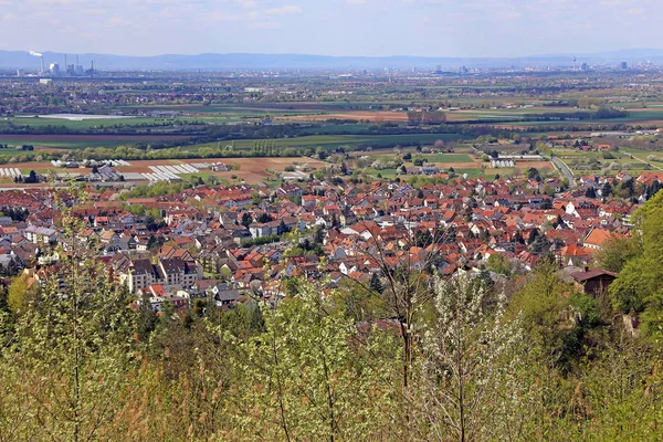 Uitzicht Dossenheim Richting Mannheim — Stockfoto