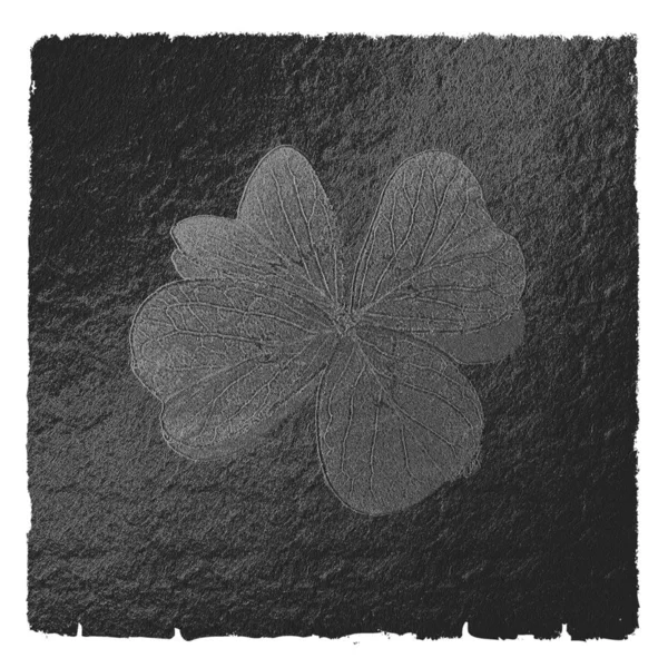 Malované Malými Kameny Umělecky Zelený Shamrock — Stock fotografie