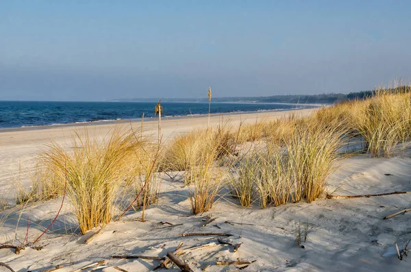 Dune Baltico — Foto Stock