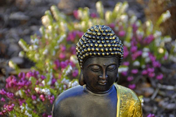 Religião Budista Buda Gautama — Fotografia de Stock