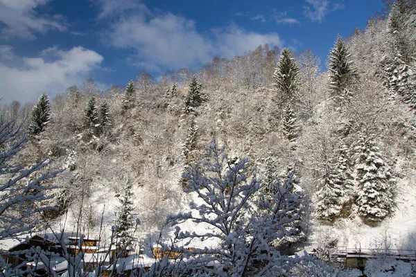 Mountain Slope Photographed April Austria — Stock Photo, Image