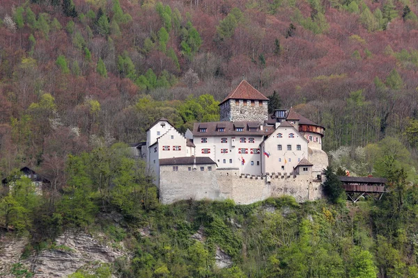 Vaduz Κάστρο Πριγκιπάτο Του Λιχτενστάιν — Φωτογραφία Αρχείου