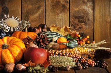 thanksgiving - different pumpkins with nuts,berries and grains before a wooden wall clipart