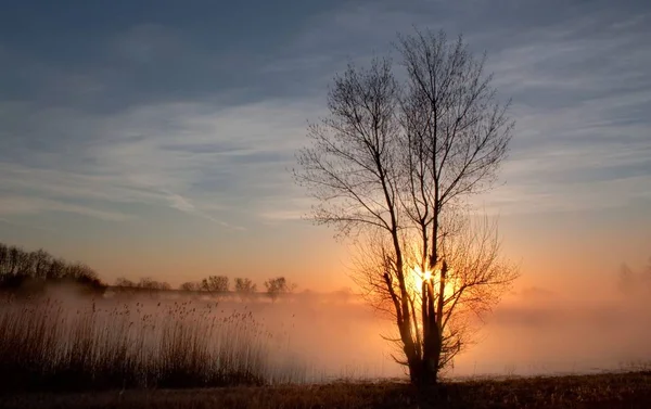 Beautiful View Nature Scenery — Stock Photo, Image