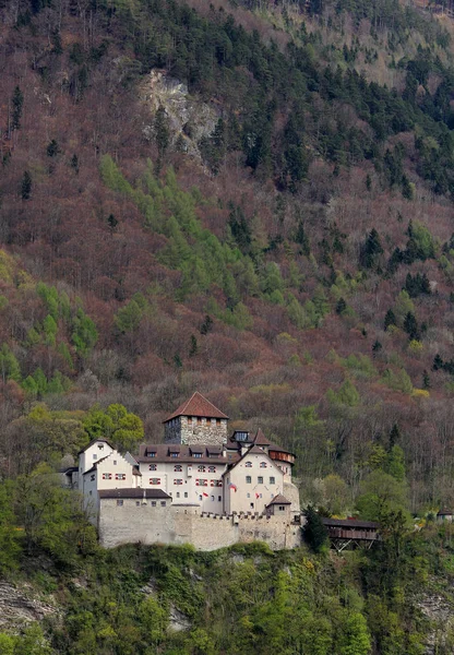 Burg Vaduz Fürstentum Liechtenstein — Stockfoto