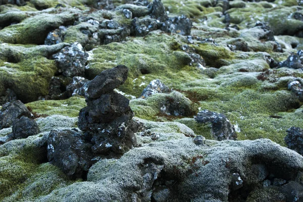 Trwały Zielony Mech Skałach Wulkanicznych Islandii — Zdjęcie stockowe