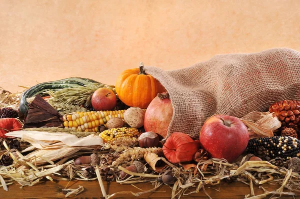 Ringraziamento Vari Zucche Granoturco Mele Cereali Juta Sacco Paglia Con — Foto Stock