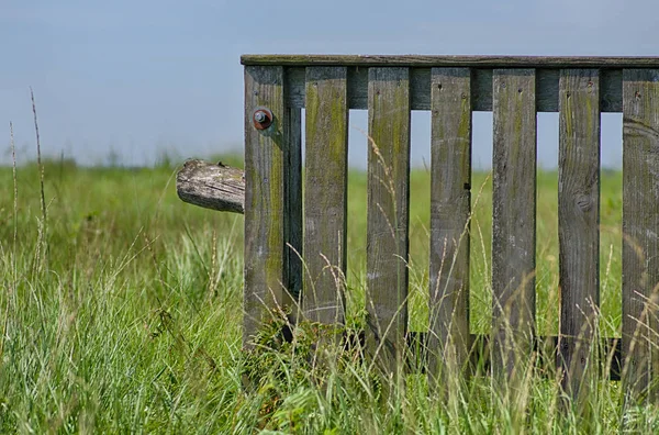 Eeuwige Zee Met Heide Hrpfad — Stockfoto