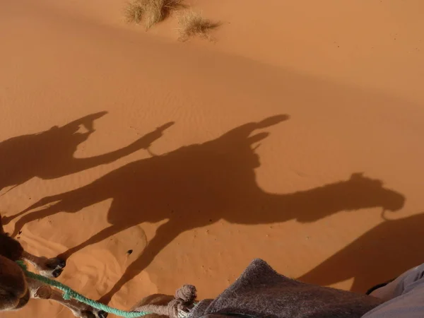 Silueta Hombre Desierto — Foto de Stock