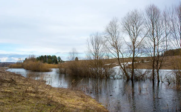 Eau Crue Printanière Remplit Les Basses Terres Tandis Que Printemps — Photo