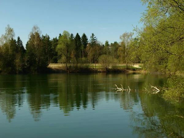 Stiller Tavaszi Reggel Tónál — Stock Fotó