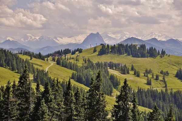 Wilder Kayzer Tirol Alpen — Stok fotoğraf