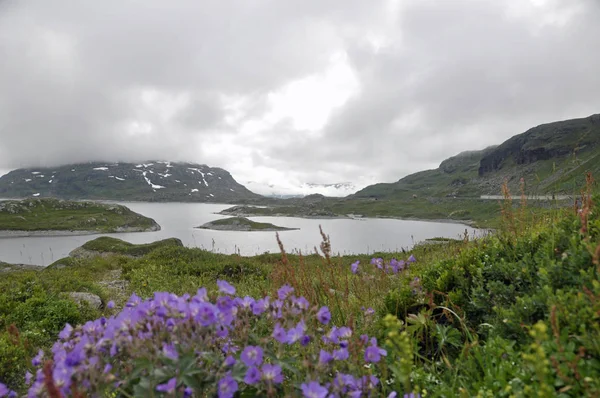 Noruega Sobre Naturaleza Paisaje Fondo — Foto de Stock