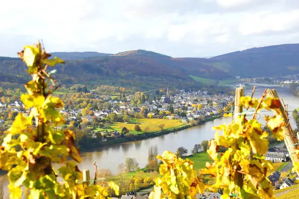 Sonbaharda Moselle Nehri Kıyısındaki Şarap Köyü — Stok fotoğraf