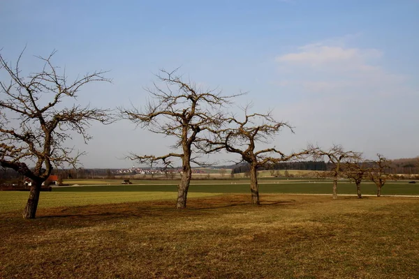 Vista Pittoresca Della Scena Della Natura — Foto Stock