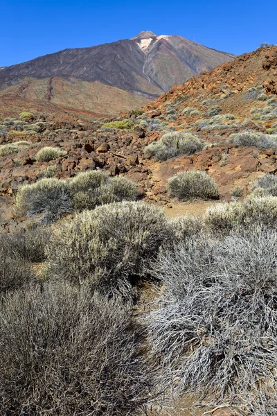 Pico Del Teide Parque Nacional Del Teide Teneriffa Kanarieöarna Spanien — Stockfoto