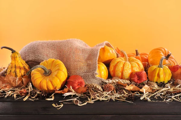 Thanksgiving Different Pumpkins Jute Sack Straw Copy Space Front Orange — Stockfoto