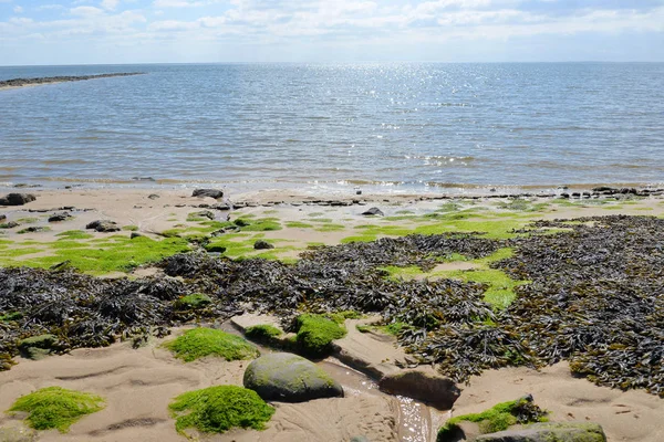 Spiaggia Sylt Vacanze Mare Baltico — Foto Stock
