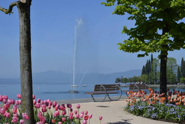 Jezerní Promenáda Jezera Garda Bardolinu — Stock fotografie