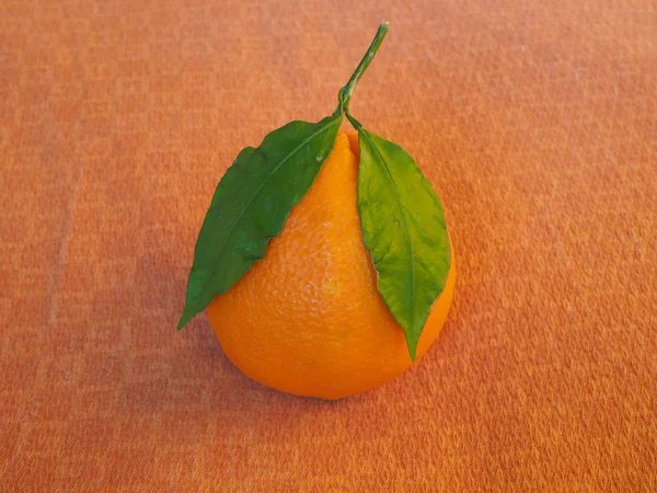 Orangene Früchte Vegetarisches Essen Über Orangefarbenem Hintergrund — Stockfoto