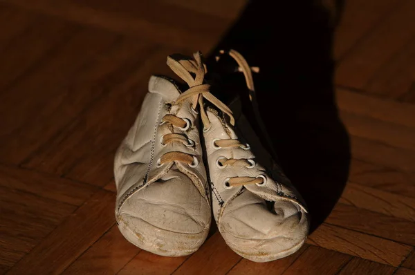 Pair Brown Sneakers Wooden Floor — Stock Photo, Image