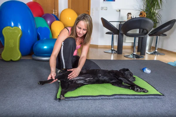 woman in manual therapy with a dog