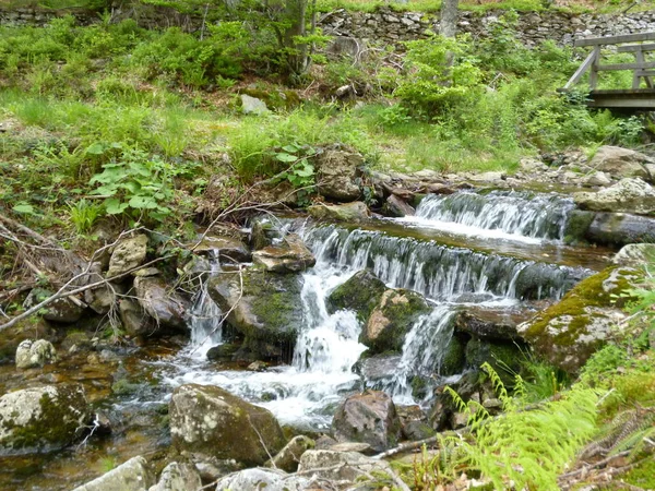 Вільна Держава Баварія Німецька Держава Має Виходу Моря — стокове фото