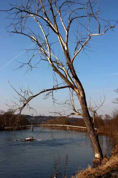 Wioślarstwo Dunaju — Zdjęcie stockowe