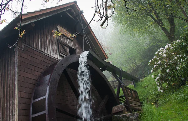 Die Historische Benzmühle Ist Teil Des Beliebten Mühlenrundwegs Schwarzwald Mehl — Stockfoto