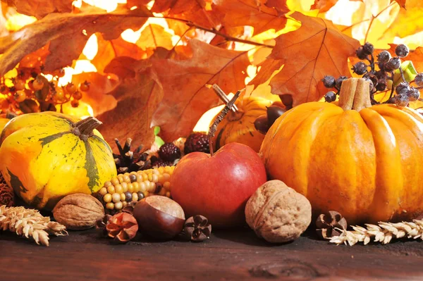 Acción Gracias Varias Calabazas Con Nueces Maíz Bayas Cereales Antes —  Fotos de Stock