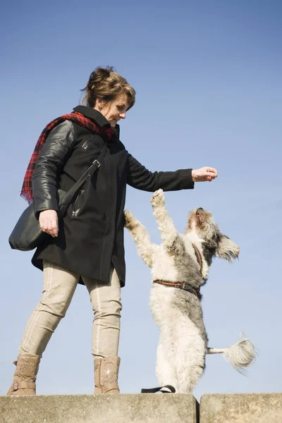 Volle Länge Einer Reifen Frau Mit Stehen Auf Den Hinterbeinen — Stockfoto