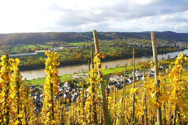 Vin Graach Village Sur Moselle Autre Côté Moselle Wehlen — Photo