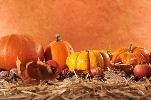 Halloween Many Different Pumpkins Straw Brown Background Copy Space — Stock Photo, Image