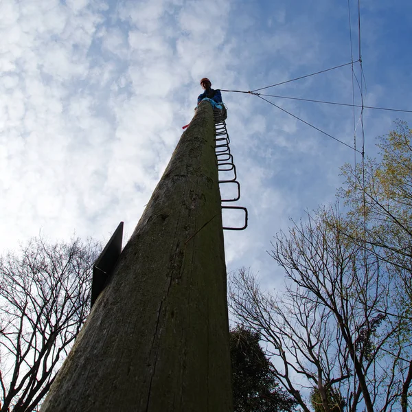 Erecting Pamper Pole Erlebnispaedagogisches Persoenlichkeitstraining Team Training Ropes Tobelropes Martin — стоковое фото