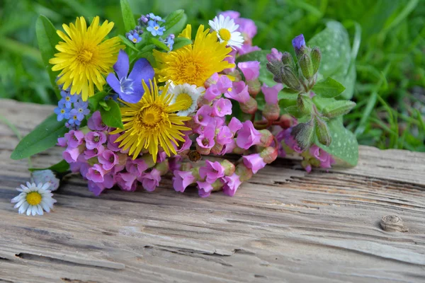 Spring Flowers Wooden Board — Stock Photo, Image
