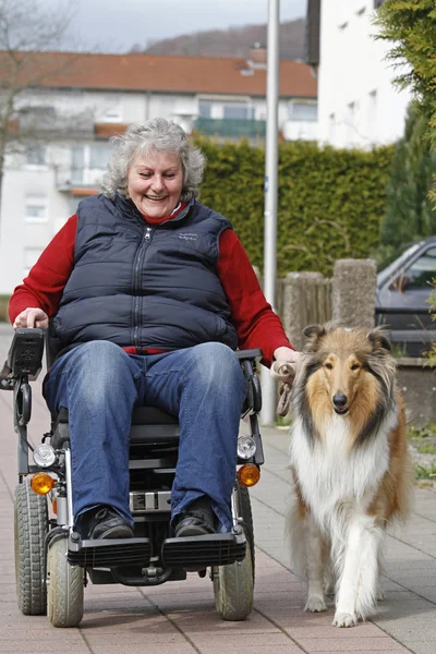 Seniorka Psem Parku — Zdjęcie stockowe