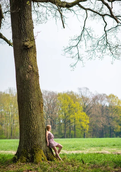 Yazlık Elbiseli Genç Bir Kadın Ağaca Yaslanıyor — Stok fotoğraf
